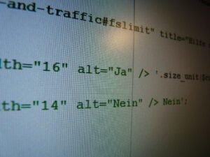 HTML code screen used for a WordPress robots.txt and noindex guide