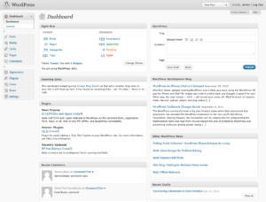 WordPress dashboard used for content governance planning